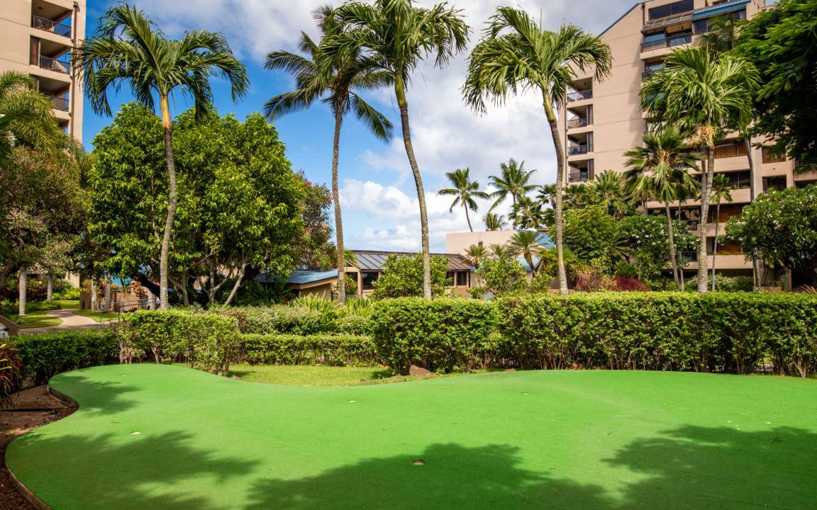Photo of Others in Kahana