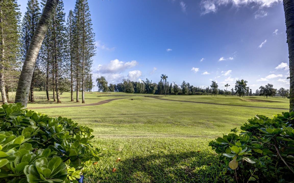 Photo of Others in Kahuku
