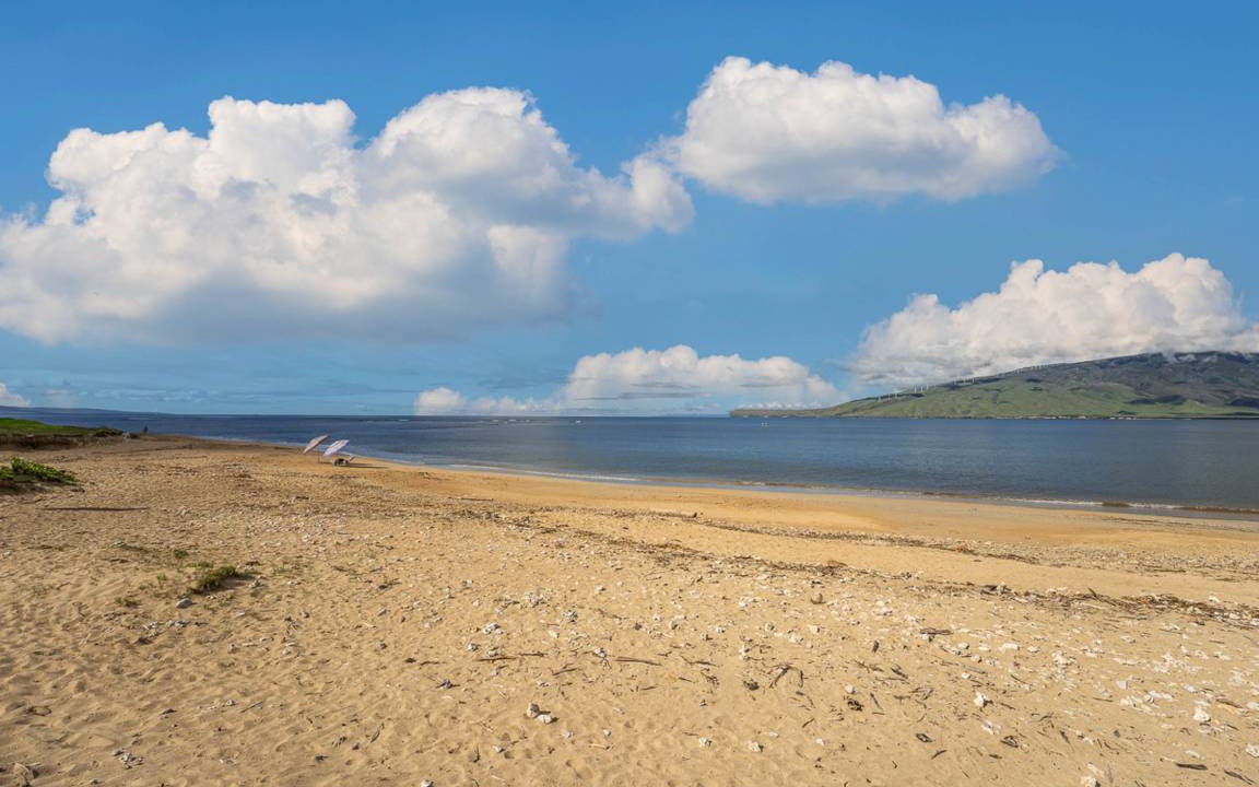 Photo of Others in Kihei