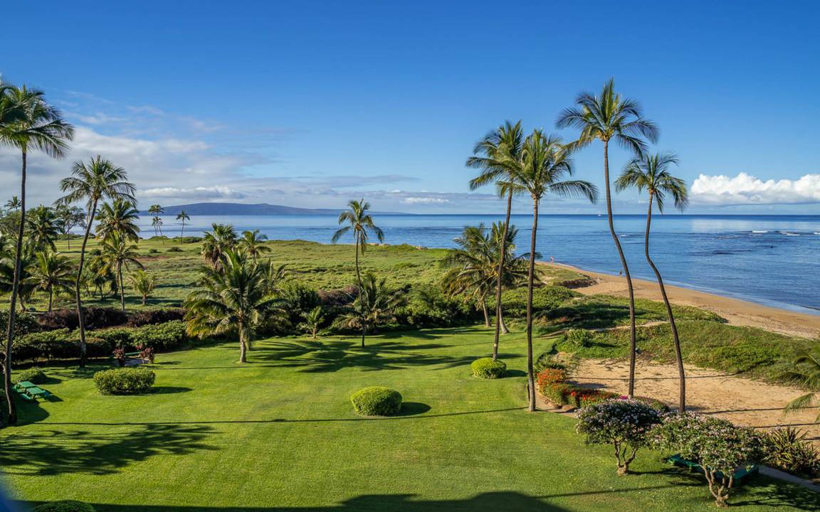 Photo of Others in Kihei