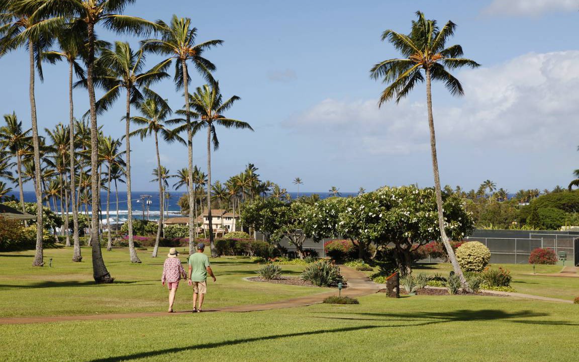 Photo of Others in Poipu