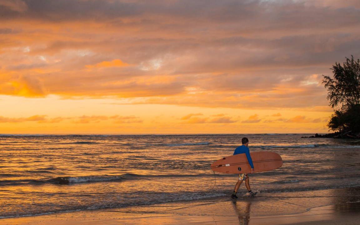Photo of Human In Picture in Hanalei