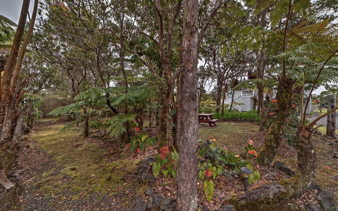 Photo of Others in Ohia Estates