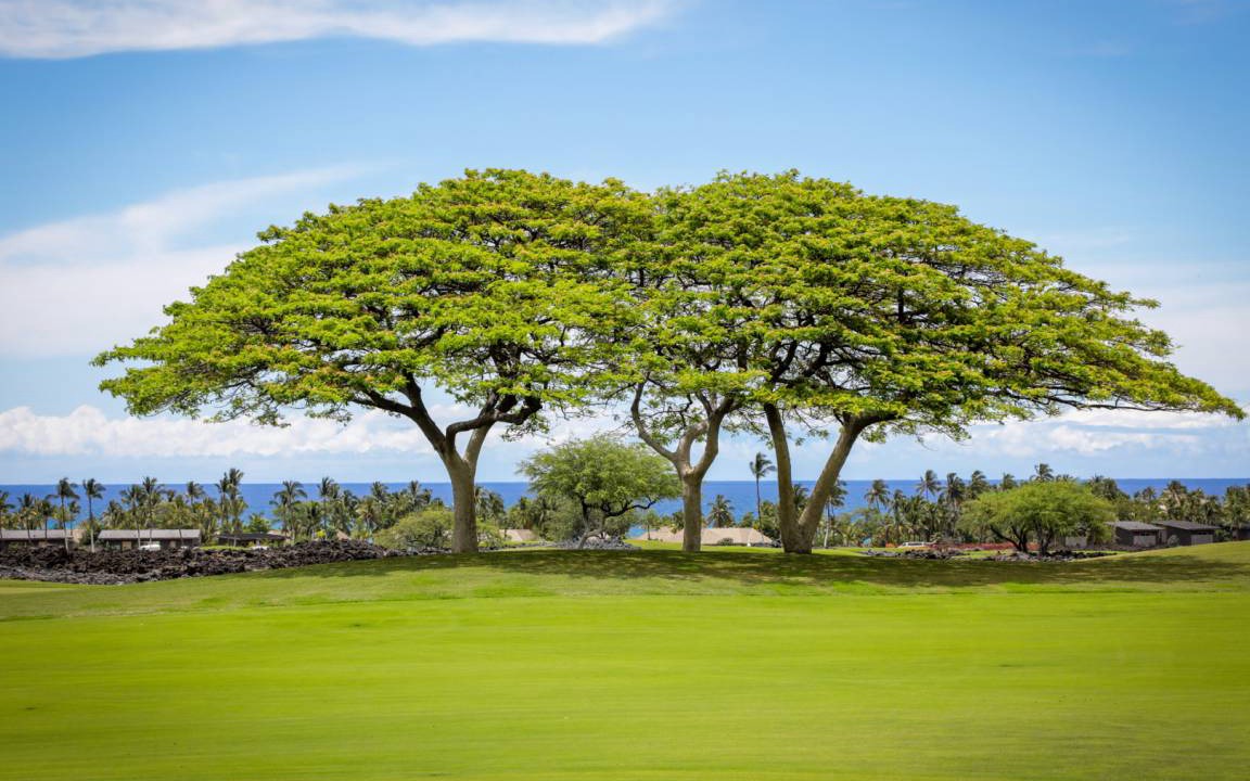 Photo of Others in Kaupulehu