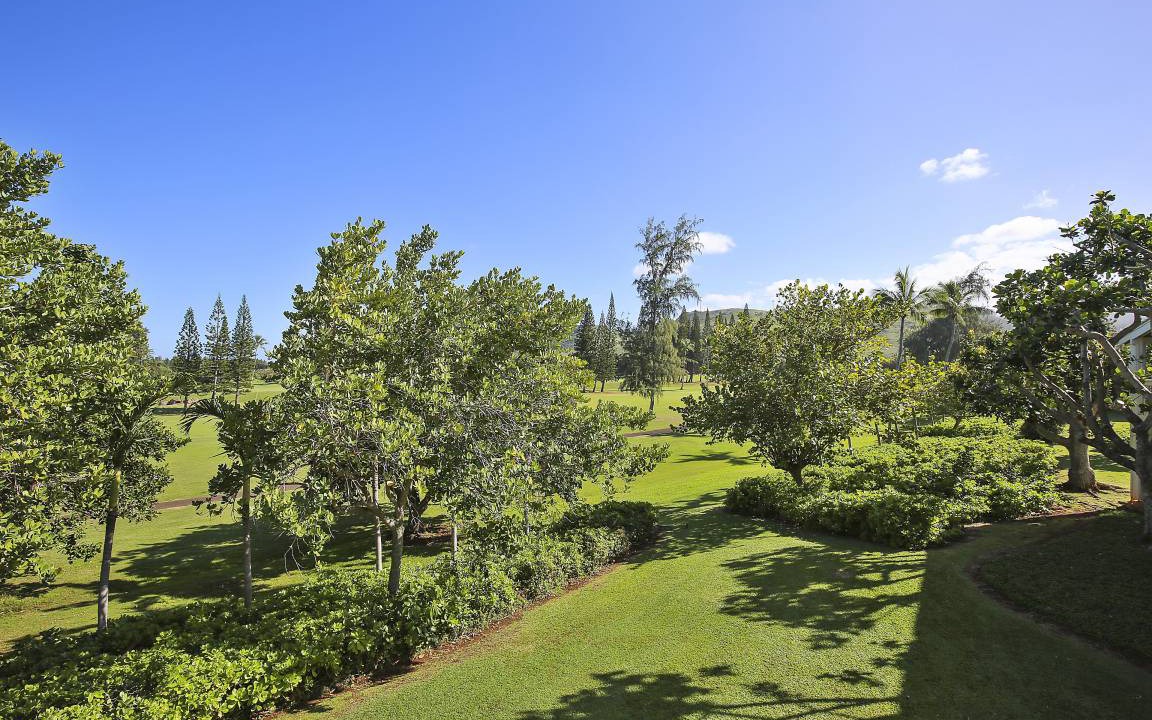 Photo of Others in Kahuku