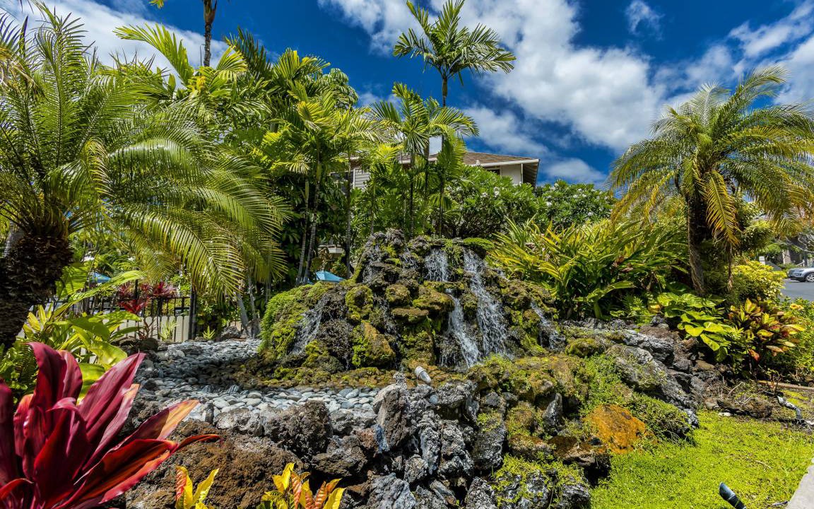 Photo of Others in Wailea