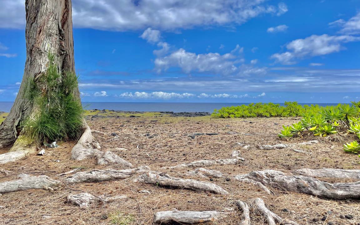 Photo of Others in Keaau