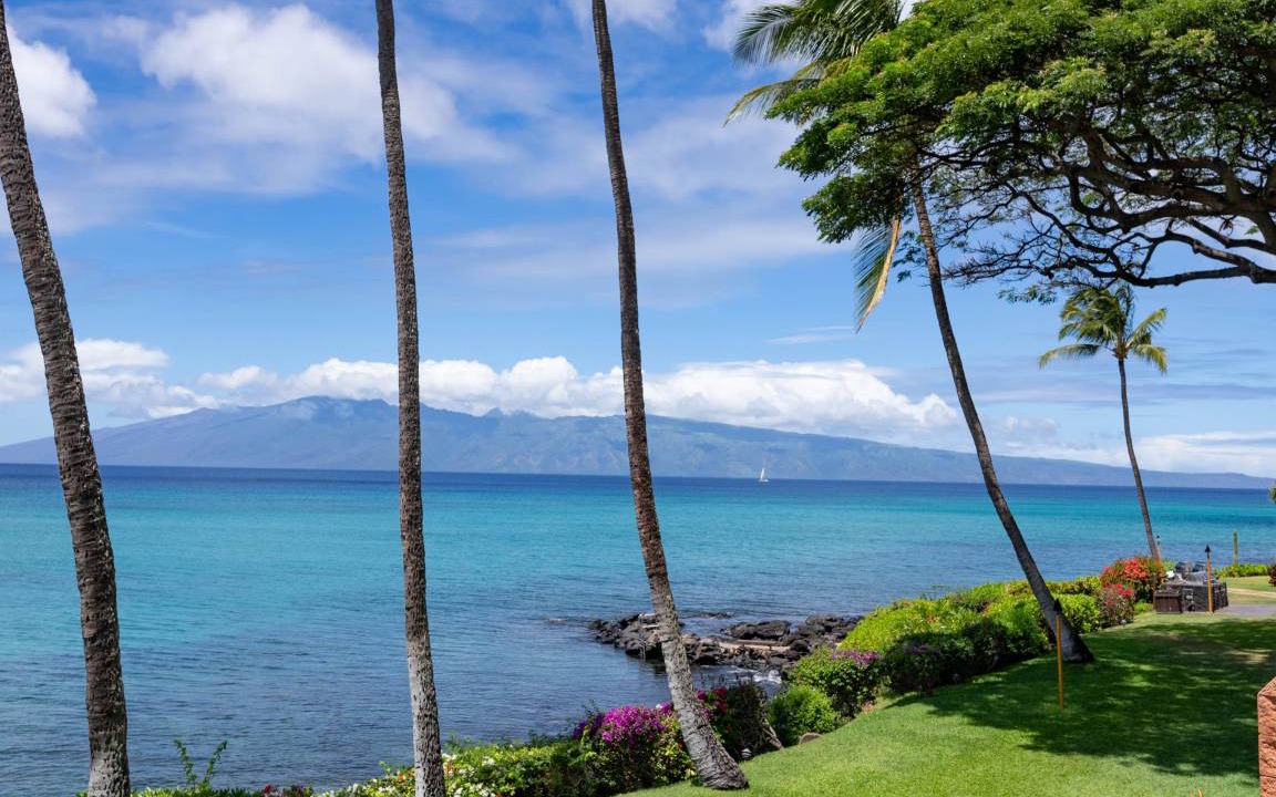 Photo of Others in Honokowai