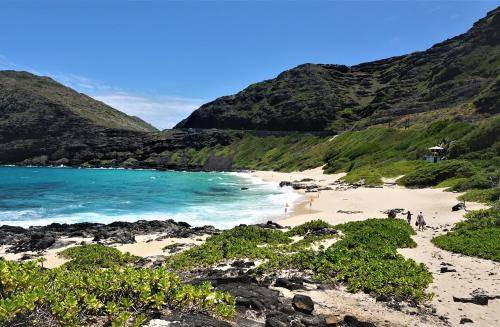 Photo of Others in McCully - Moiliili