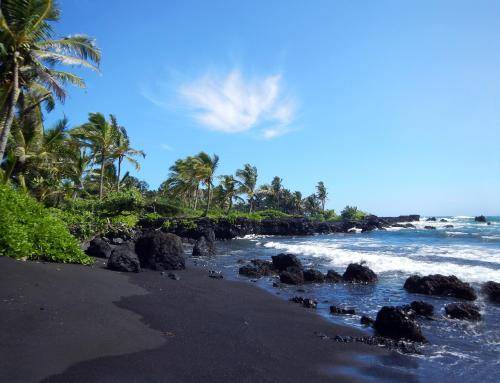 Photo of Others in Hana