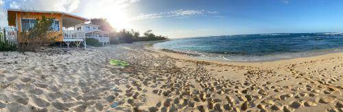 Photo of Others in Waialua