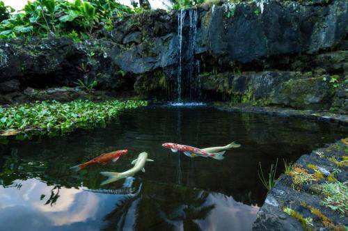 Photo of Others in Hana