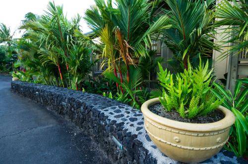 Photo of Others in Hana