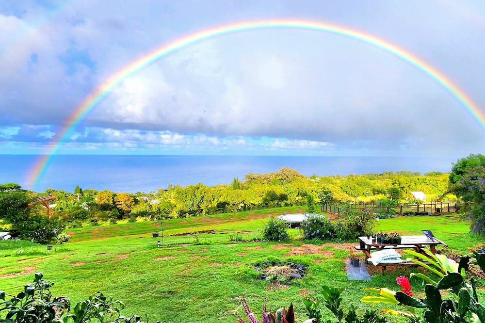 Photo of Outdoor in Papaaloa