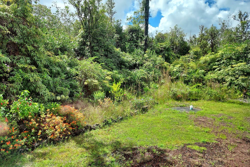 Photo of Others in Fern Acres