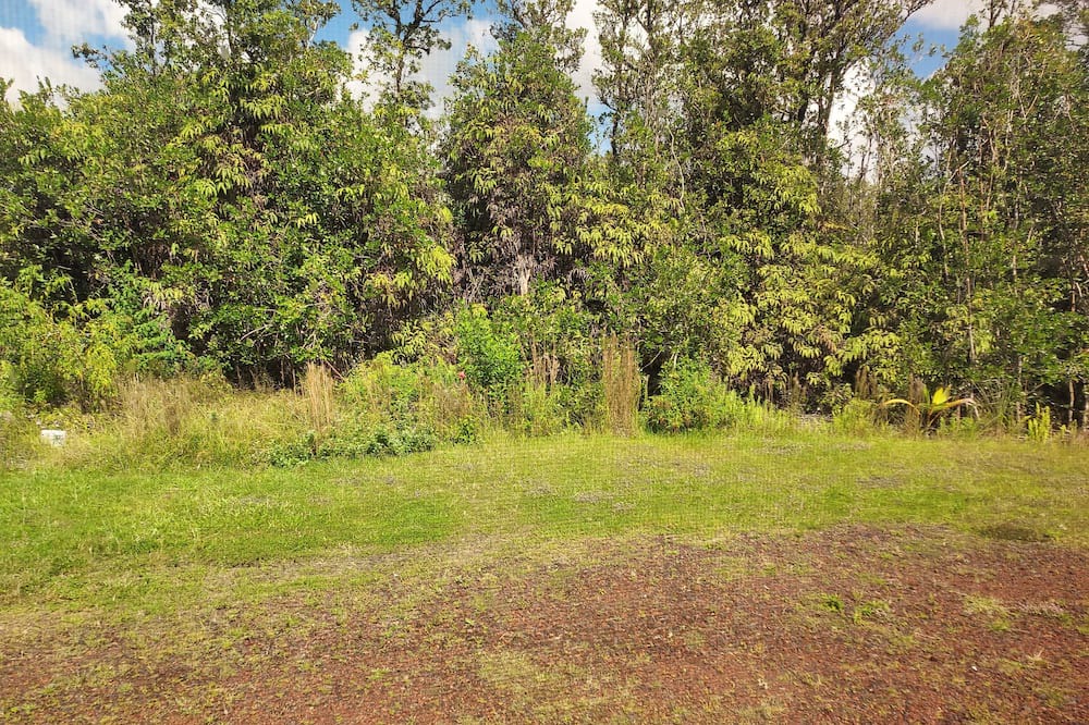 Photo of Others in Fern Acres