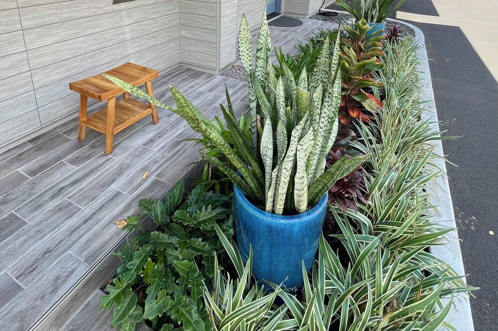 Photo of Outdoor in Moanalua