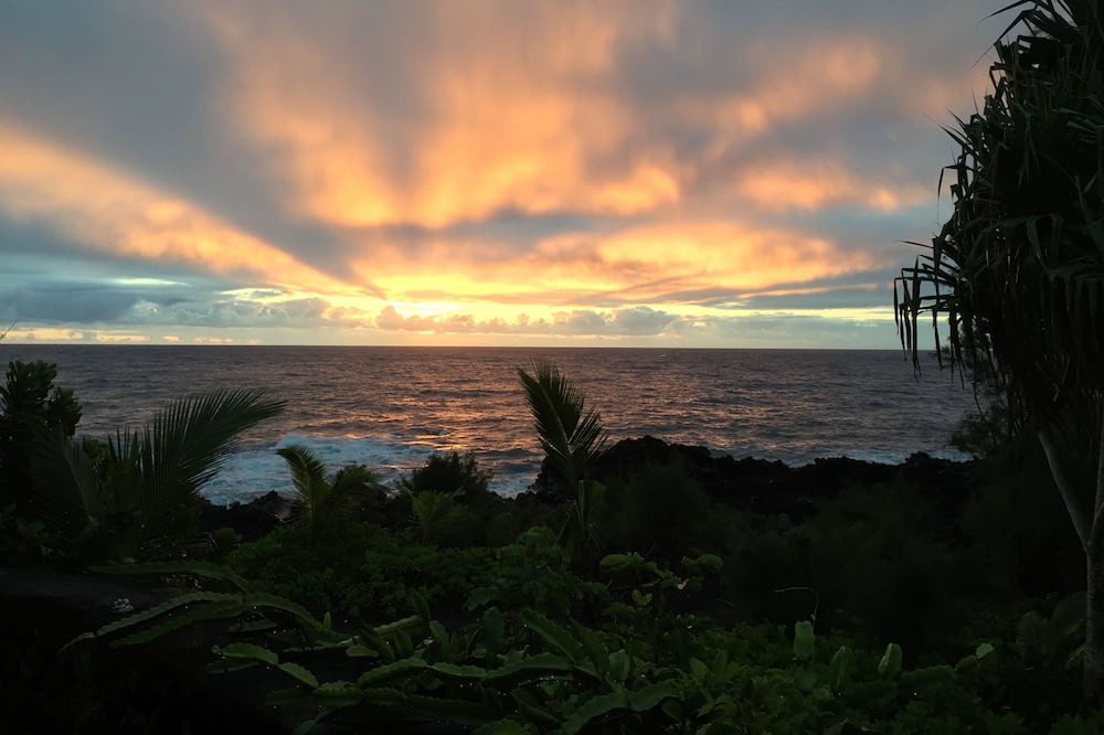 Photo of Others in Kapoho