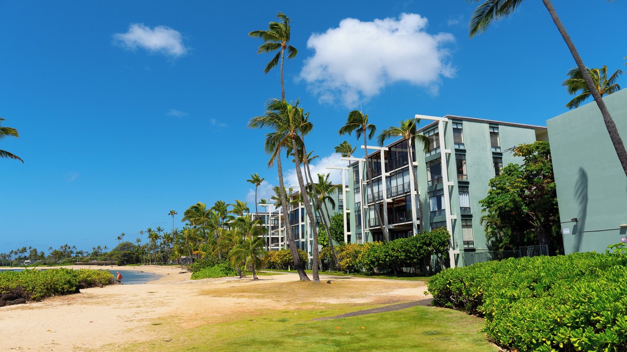 Photo of Outdoor in Kahala