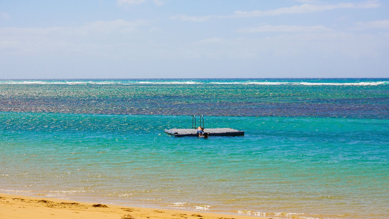 Photo of Others in Kahala