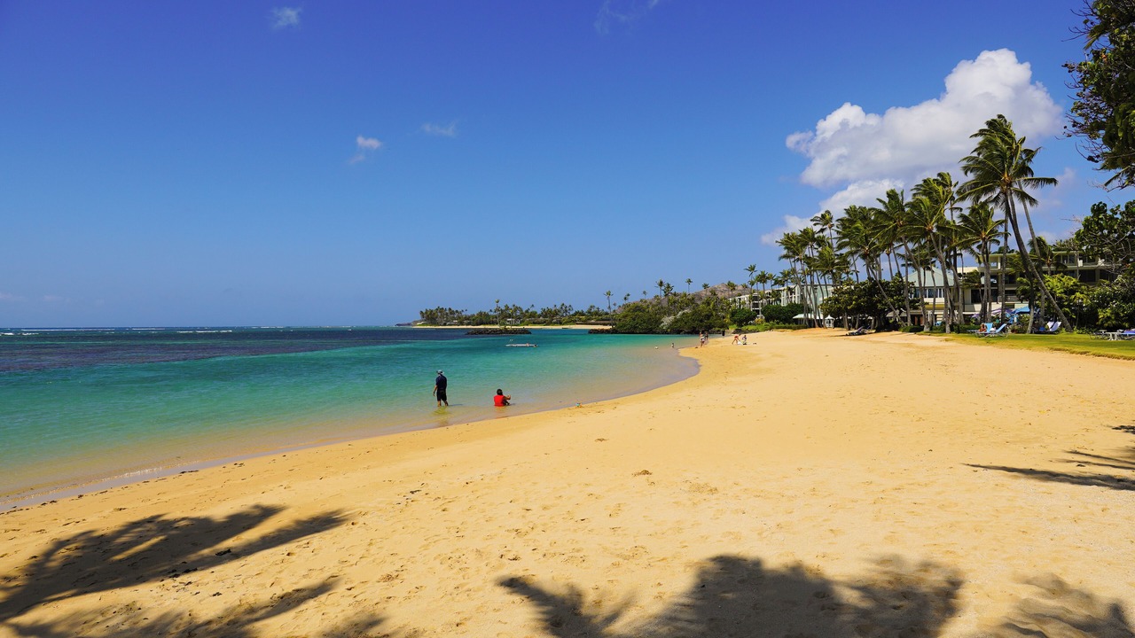 Photo of Others in Kahala