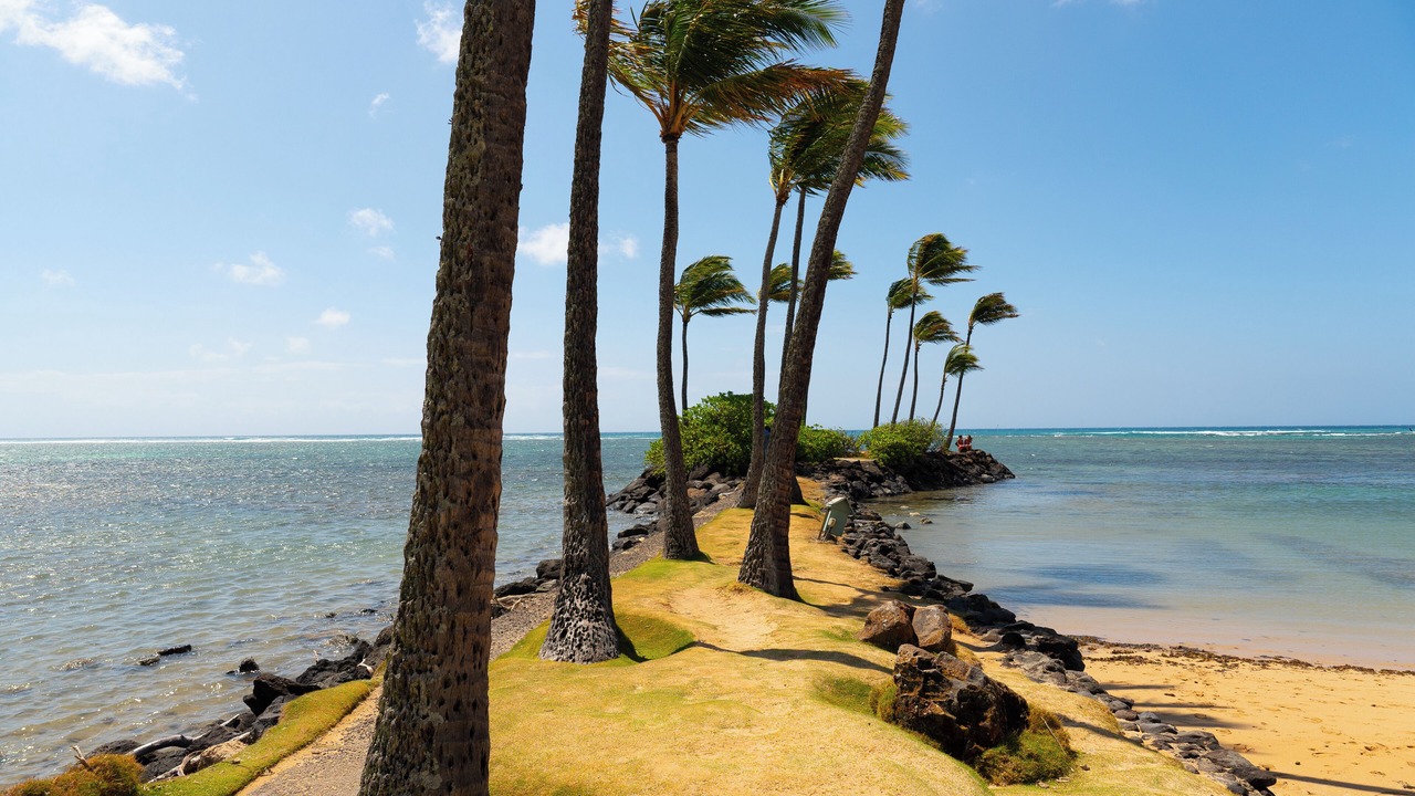 Photo of Others in Kahala