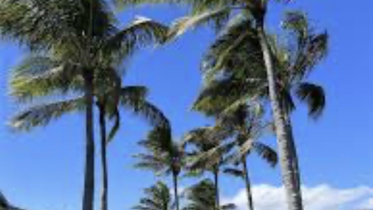 Photo of Others in Hawaii Kai