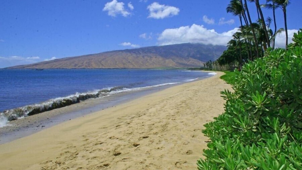 Photo of Others in Kihei