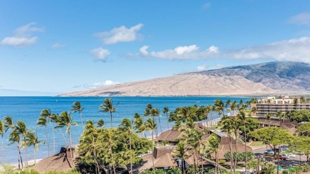 Photo of Others in Kihei