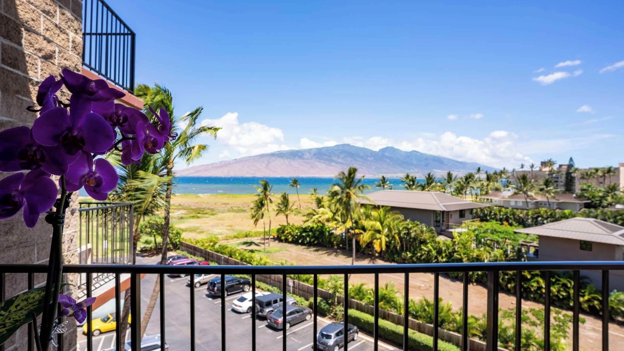 Photo of Outdoor in Kihei