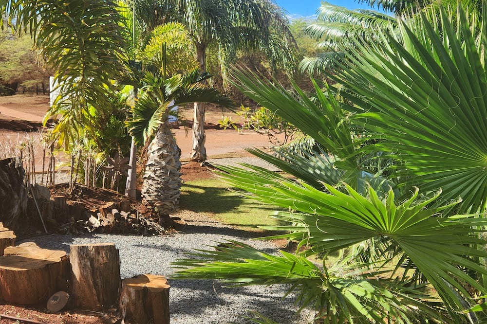 Photo of Outdoor in Maunaloa