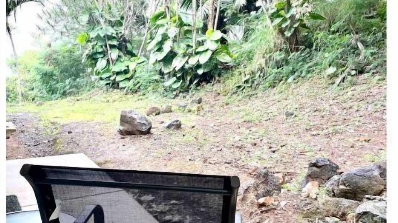 Photo of Outdoor in Kaneohe
