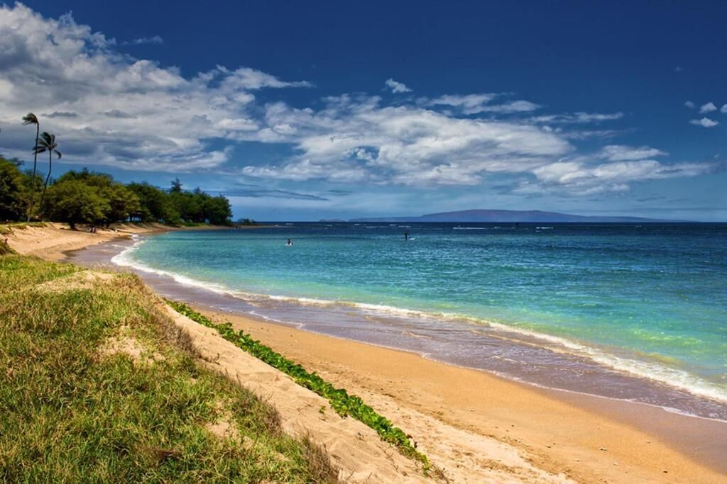 Photo of Others in Kihei