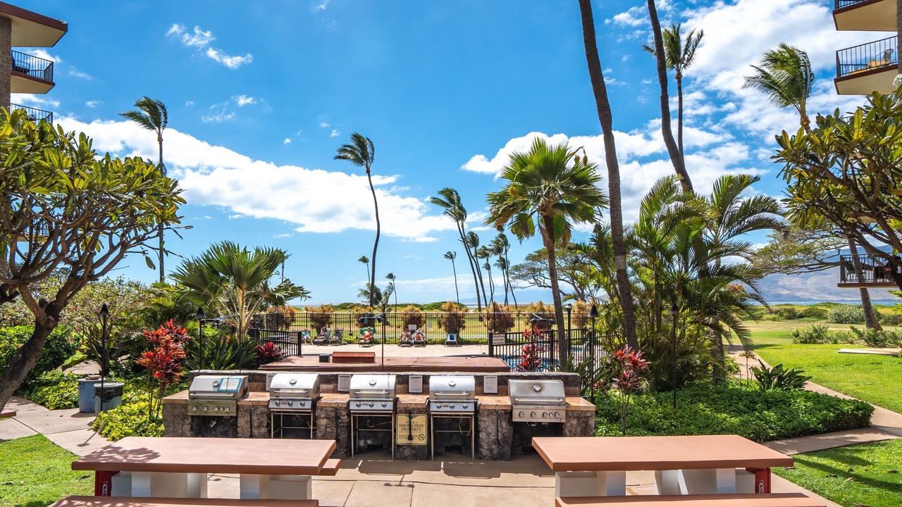 Photo of Outdoor in Kihei