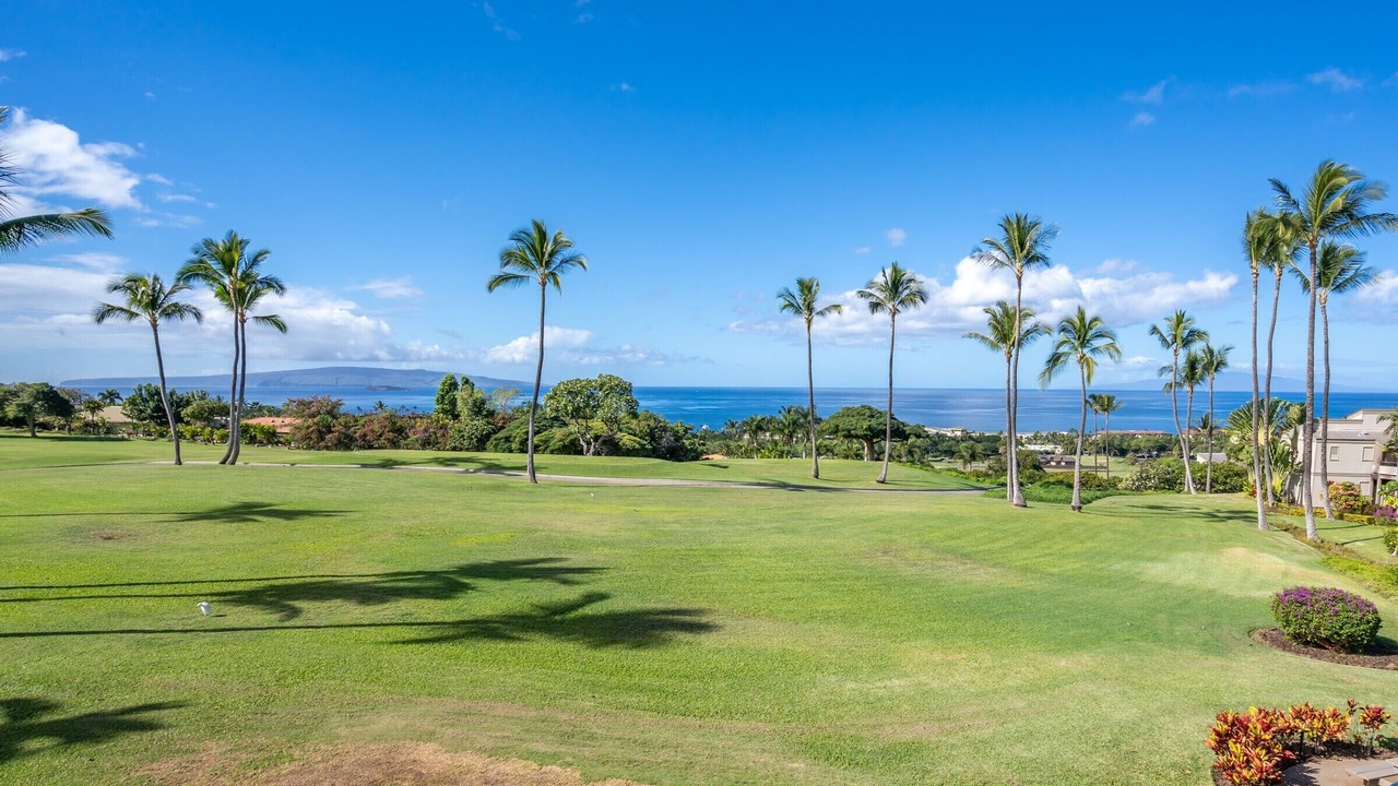 Photo of Outdoor in Wailea