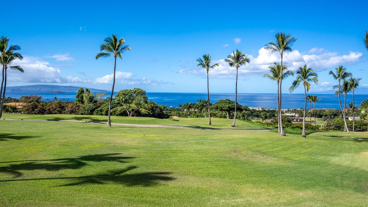 Photo of Outdoor in Wailea