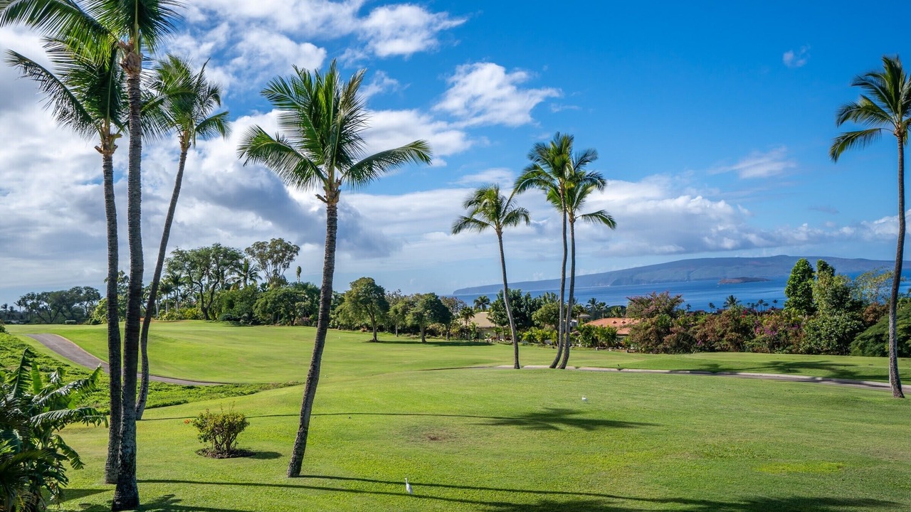 Photo of Outdoor in Wailea