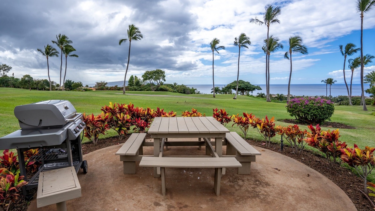 Photo of Outdoor in Wailea