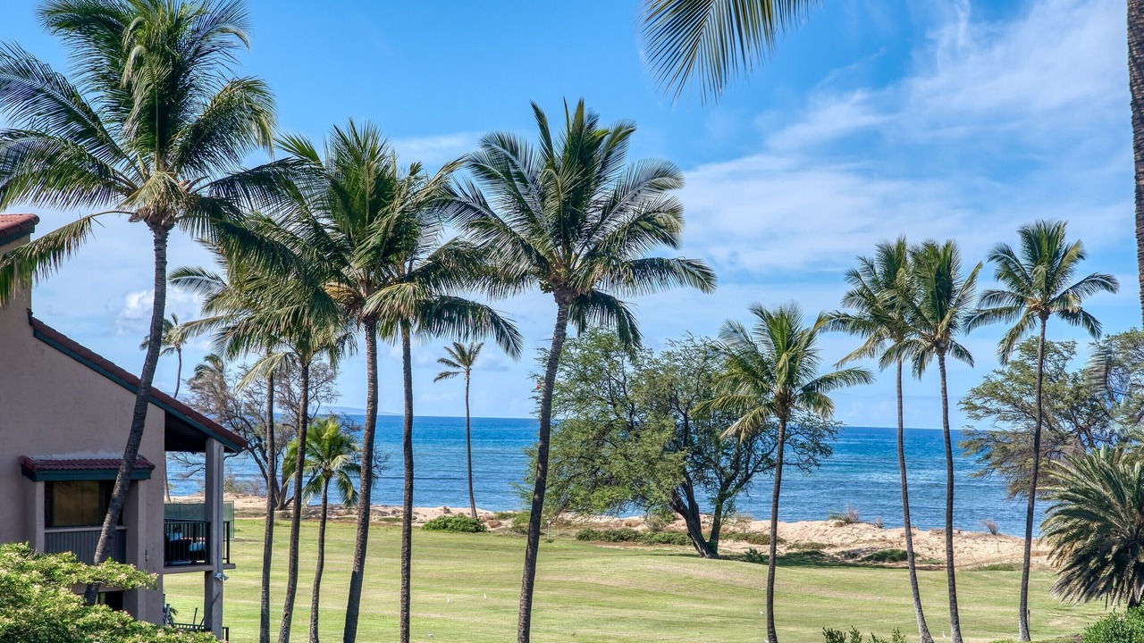Photo of Outdoor in Kihei