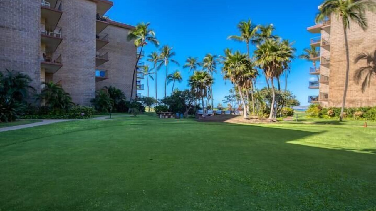 Photo of Outdoor in Kihei