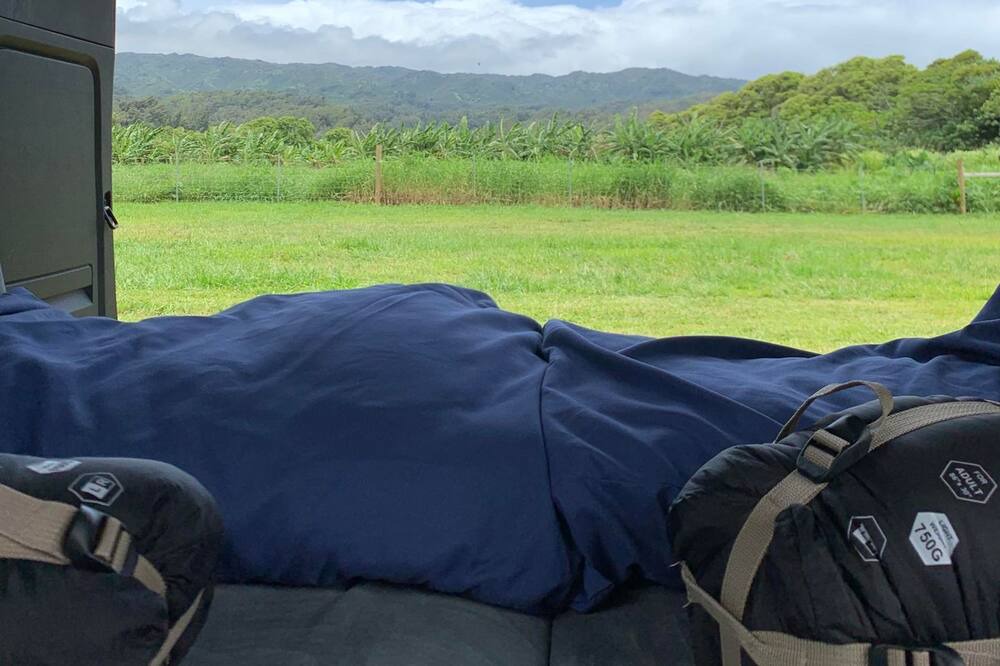 Photo of Others in Laie