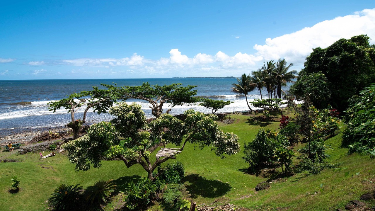 Photo of Others in Hilo
