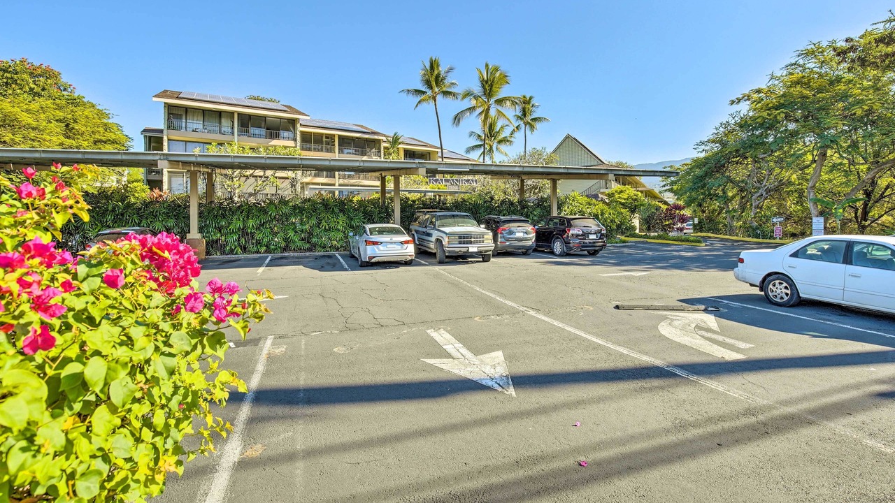 Photo of Others in Historic Kailua Village