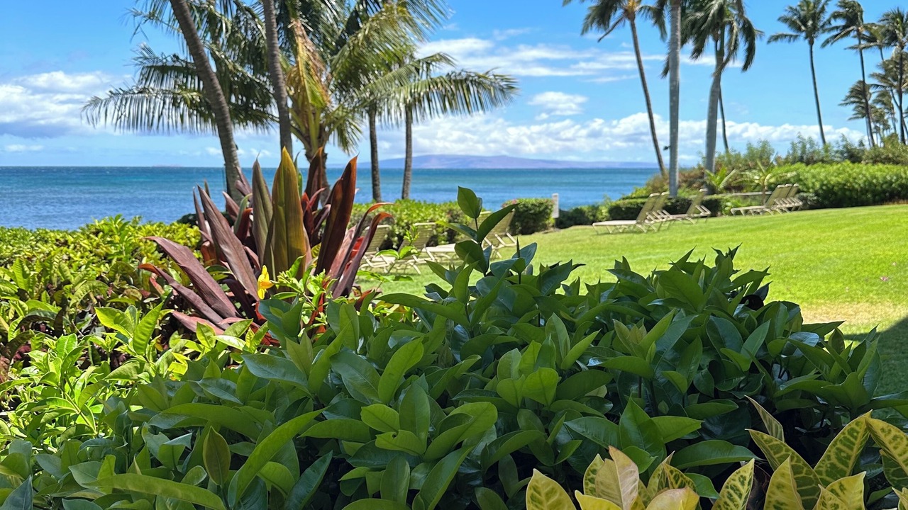 Photo of Outdoor in Maalaea