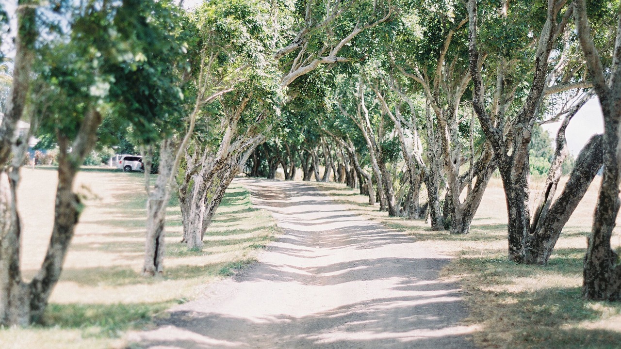 Photo of Outdoor in Hawi