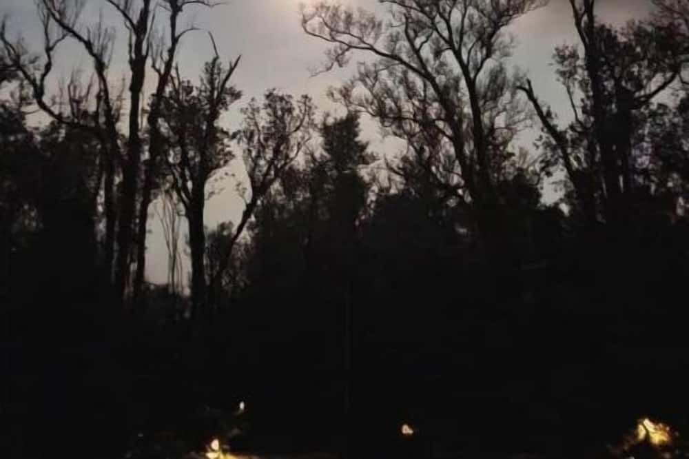 Photo of Outdoor in Fern Acres