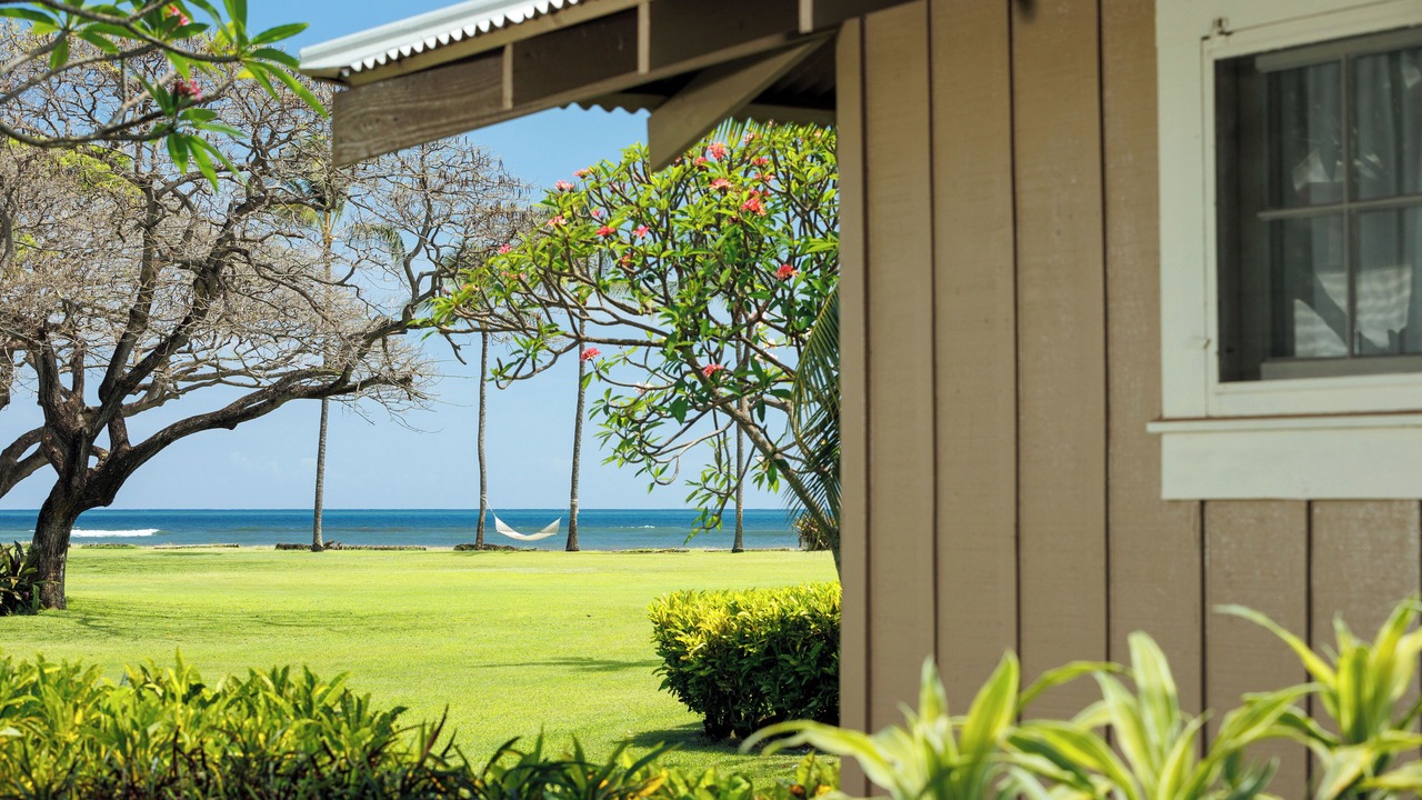 Photo of Outdoor in Waimea