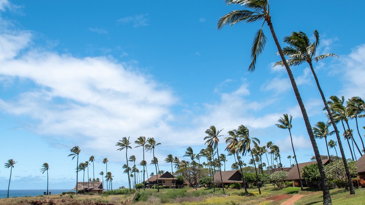 Photo of Others in Maunaloa
