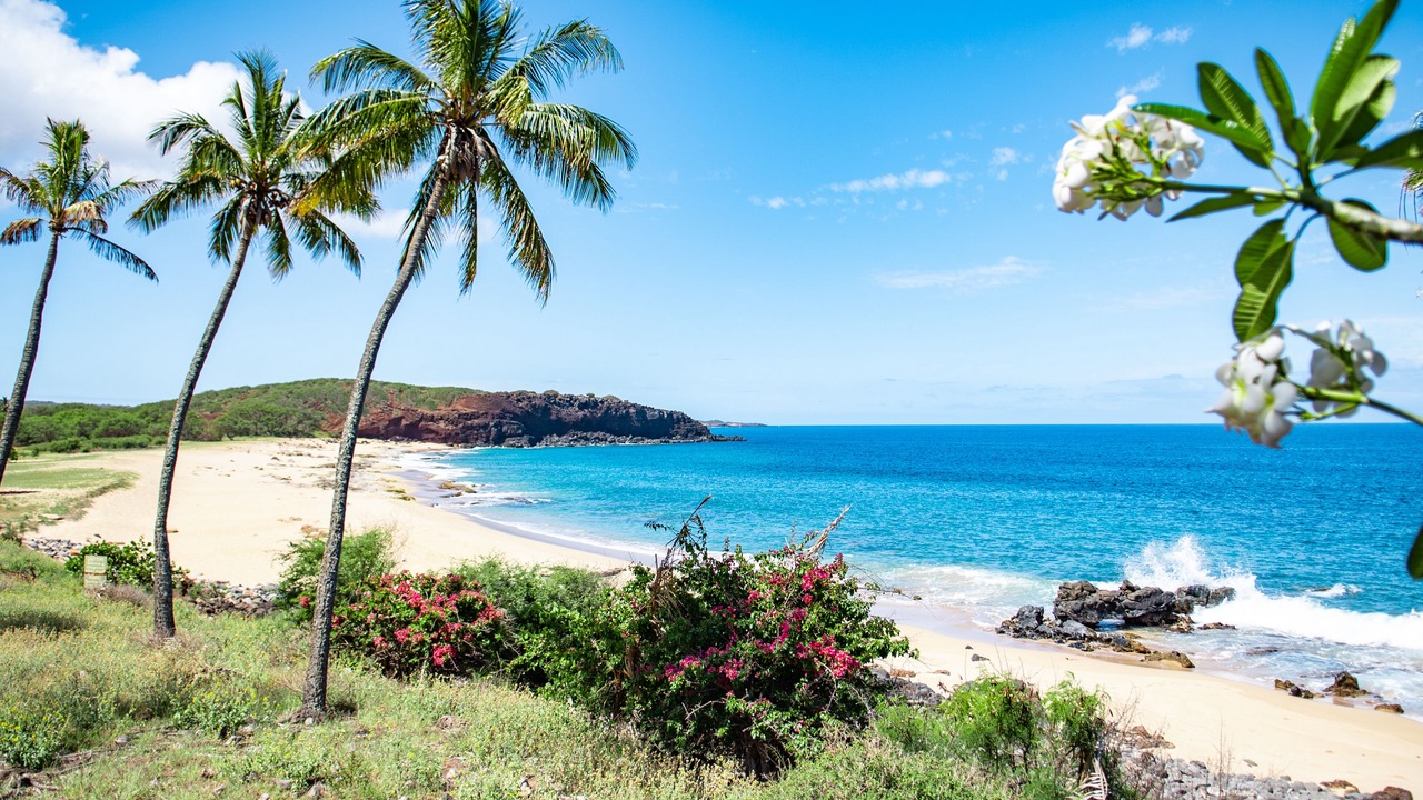 Photo of Others in Maunaloa