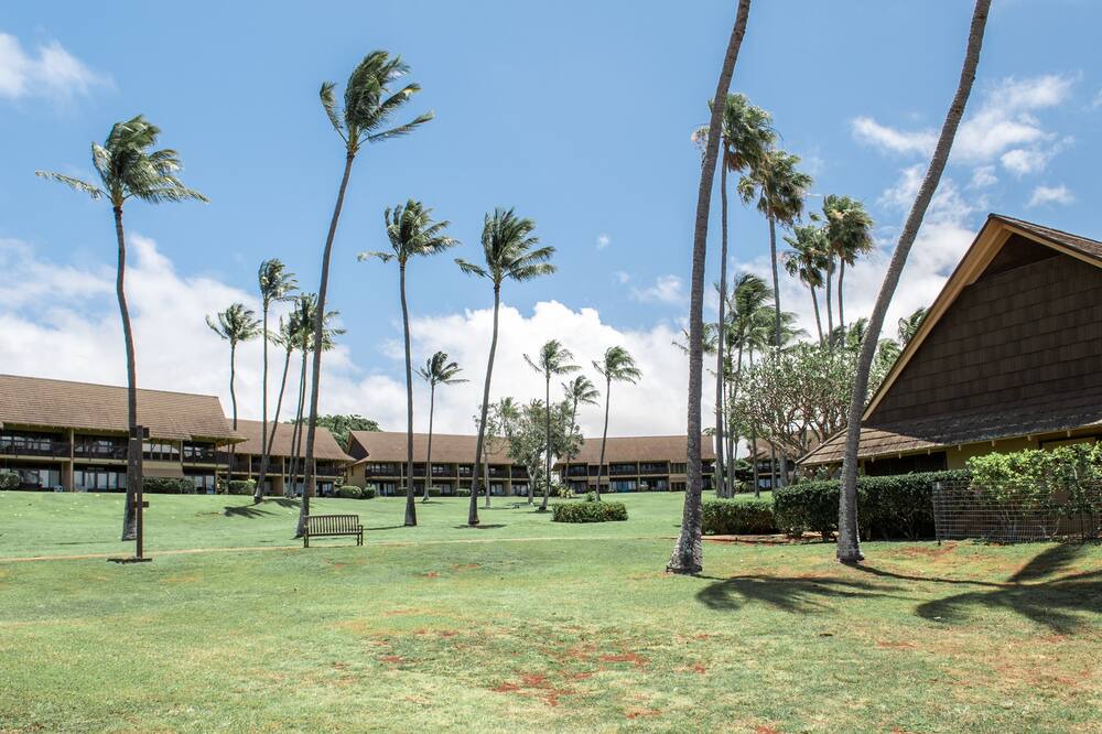 Photo of Others in Maunaloa